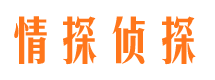 揭东市私家侦探